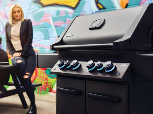 Custodia di protezione per Barbecue